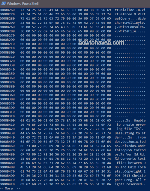 Output of format-hex of a binary file as viewed in more